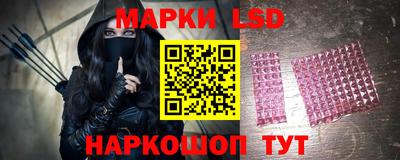 спиды Гусев