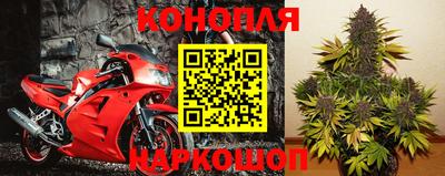 индика Гусиноозёрск
