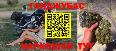 индика Гусиноозёрск