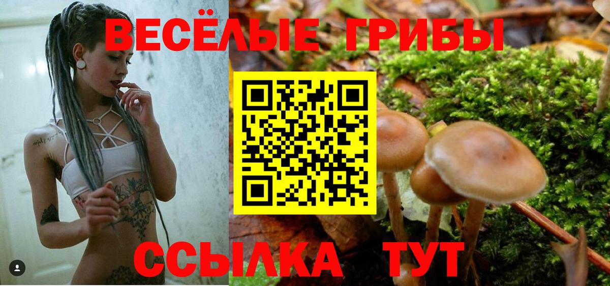 Галлюциногенные грибы MAGIC MUSHROOMS  Вход с VPN  Галлюциногенные грибы прущие грибы  Менделеевск 